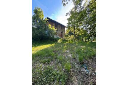 Grundstück f. Freizeit o. Hundeschule mitten im Grünen - München Ramersdorf-Perlach