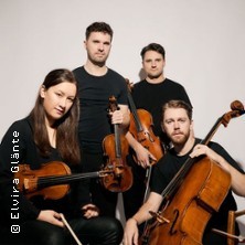 Opus 13 - Streichquartett | Haydn, Bartók und Schubert