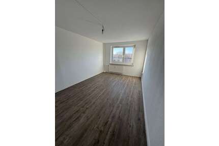 Wohnung zum Mieten in Dresden 260,00 € 26.89 m²