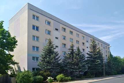 Wohnung zum Mieten in Coswig 346,00 € 49.44 m²