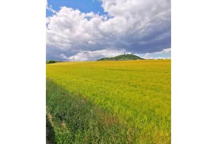 Doppelhaushälfte zu vermieten - 900,00&nbsp;EUR Kaltmiete, ca.&nbsp; 150,00&nbsp;m&sup2; in Bad Breisig (PLZ: 53498)