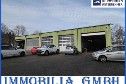 Interessante Gewerbehalle mit Hebebühne und Waschanlage für LKW-Fahrzeuge in 66482 Zweibrücken