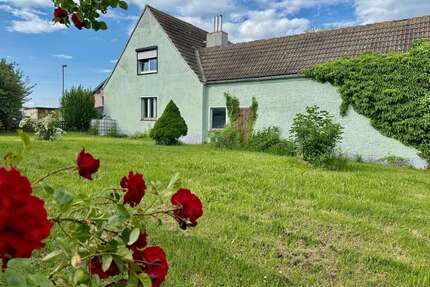 Haus zum Kaufen in Mücheln 99.000,00 € 140 m²