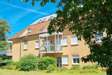 Wohnung zum Kaufen in Dresden 129.000,00 € 56 m²