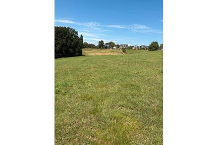 Grünland, Wiese, Weideland - 6,00&nbsp;EUR Kaltmiete, ca.&nbsp; 0,00&nbsp;m&sup2; in Windhagen (PLZ: 53578)