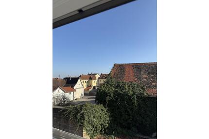 1-Zimmer Singlewohnung in Neustadt-Hambach - Neustadt an der Weinstraße