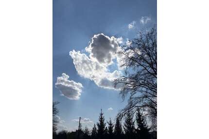 Grundstück zu verkaufen in Werdau 89.000,00 € 1201 m²