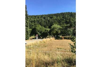 Wohnung zum Kaufen in Neuenbürg 399.000,00 € 100 m²