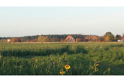 WohnwagenTinyhaus Camper Stellplatz. Naturnaher Garten - Jüterbog