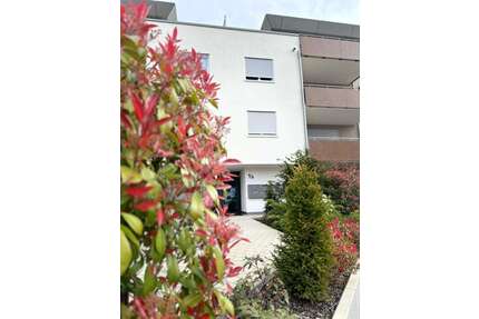 Wohnung zum Mieten in Kehl 550,00 € 35 m²