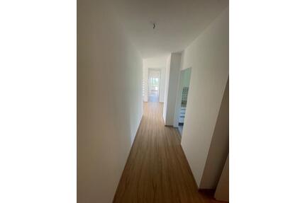 Helle, frisch renovierte 6-Zimmer-Wohnung im DG mit Traumaussicht - Plochingen