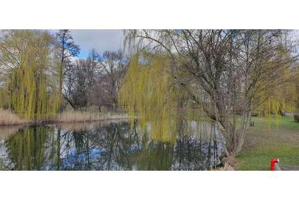 Grundstück zu verkaufen in Gem. BriesenOT Biegen 63.000,00 € 545 m² - Gem. Briesen/OT Biegen