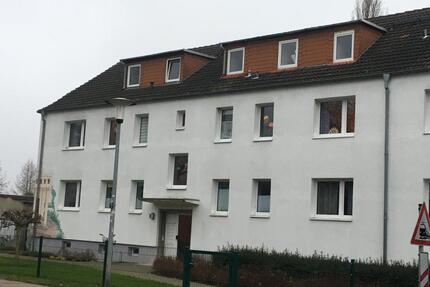 zwei 3-Raum Wohnungen im Jahnviertel Neubrandenburg zu vermieten
