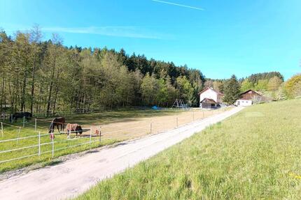 Hofstelle für Pferdehaltung in Hunderdorf - Provisionsfrei!!!