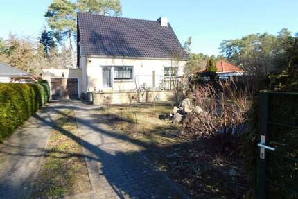 Haus zum Kaufen in Borkheide 365.000,00 € 124 m²