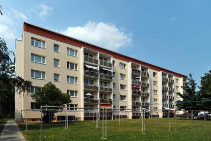 Frisch renoviert direkt am Park - Merseburg