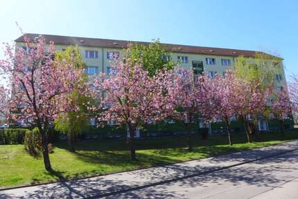 Wohnung zum Mieten in Limbach-Oberfrohna 335,00 € 56.77 m²