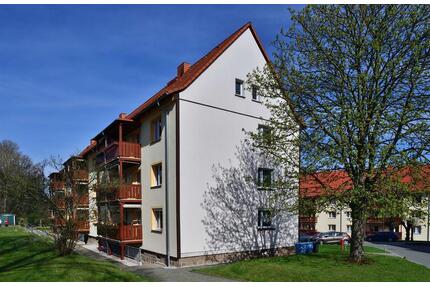 Mit Blick ins Grüne... - 406,00&nbsp;EUR Kaltmiete, ca.&nbsp; 58,00&nbsp;m&sup2; in Hohndorf (PLZ: 09394)