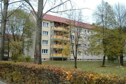 Wohnung zum Mieten in Finsterwalde 354,43 € 58.43 m²