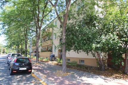 Wohnung zum Mieten in Magdeburg 349,68 € 58.28 m²