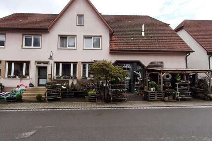 Haus zum Kaufen in Tieringen 347.000,00 € 280 m²