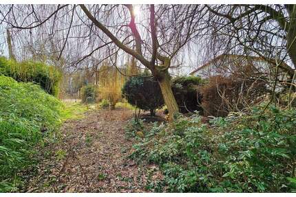 Traumhaftes Grundstück am Naturbad - Gestalten Sie Ihre Zukunft in Dessau-Mosigkau - Dessau-Roßlau