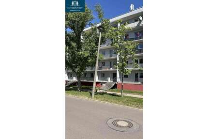 Wohnung zum Mieten in Magdeburg 485,00 € 75 m²