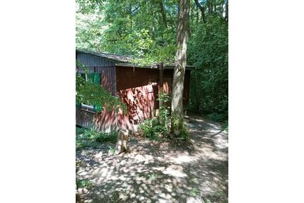 Waldhütte Ferienhaus Wanderhütte abgelegen Waldbaden Holzhütte - Vacha