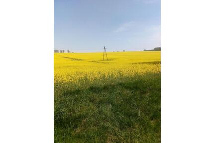 Ackerland Acker Magdeburger Börde Boden - Hötensleben