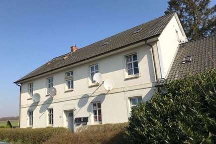 Wohnung zum Mieten in Badbergen 350,00 € 37 m²