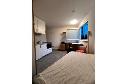 1 Zimmer Wohnung - 315,00&nbsp;EUR Kaltmiete, ca.&nbsp; 16,00&nbsp;m&sup2; in Furtwangen im Schwarzwald (PLZ: 78120)