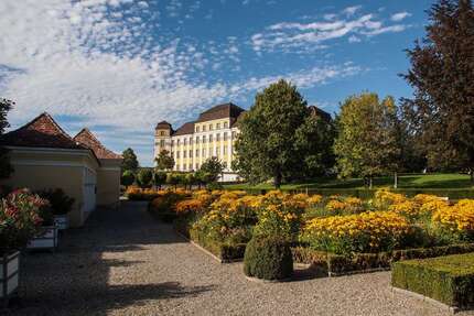 Wohnung zum Kaufen in Tettnang 345.000,00 € 113 m²