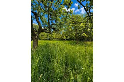 777m2 Garten in Seulberg zu verpachten - Frankfurt am Main Ginnheim
