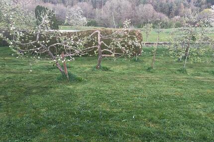 verpachte Garten - 280,00&nbsp;EUR Kaltmiete, ca.&nbsp; 0,00&nbsp;m&sup2; in Stuttgart (PLZ: 70567) Fasanenhof-Ost