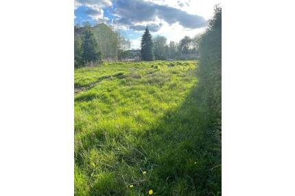 Großes Baugrundstück in Bestensee - Ob Eigennutzung oder Investition - Sie entscheiden!