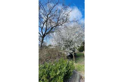 Grundstück zu verkaufen in Kellinghusen 140.000,00 € 600 m²