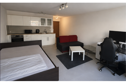 Wohnung zum Kaufen in Schwaigern , Württ 159.000,00 € 31.8 m²
