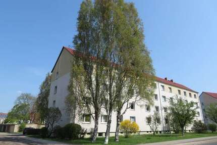Wohnung zum Mieten in Finsterwalde 401,83 € 74.26 m²