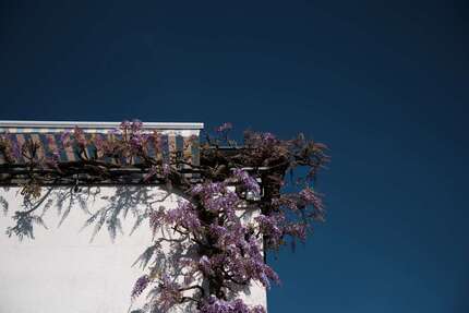 Haus zum Kaufen in Wiesloch 490.000,00 € 168 m²