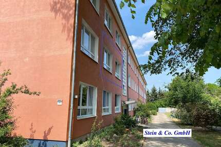 Wohnung zum Mieten in Kloster Lehnin 310,00 € 38.76 m²