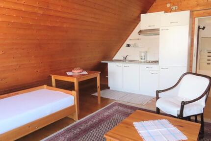 Nur für Einzelperson - Möbliertes Apartment - 1 ZKB in KS-Am Lindenberg - Kassel Bettenhausen