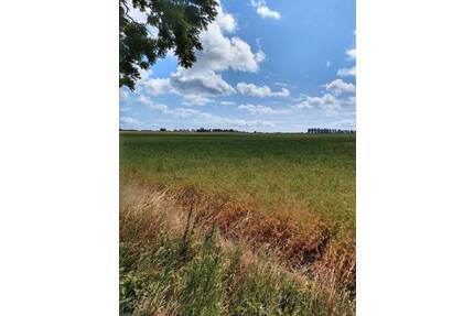 Grundstück in Stadtnähe - 120.000,00&nbsp;EUR Kaufpreis, ca.&nbsp; 0,00&nbsp;m&sup2; in Geithain (PLZ: 04643) Niedergräfenhain