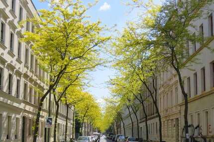 Wohnung zum Mieten in Leipzig 676,00 € 56.34 m²