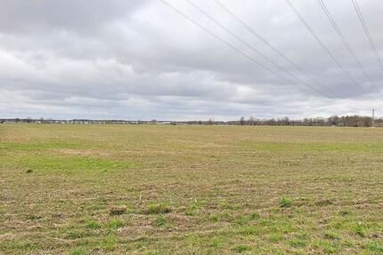 AUKTION: 0,4 ha Acker- und Unland - Elsterheide