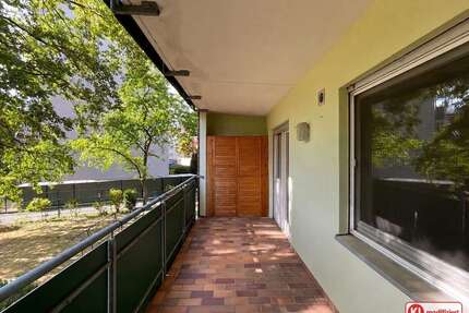 Wohnung zum Kaufen in Speyer 235.000,00 € 91.24 m²