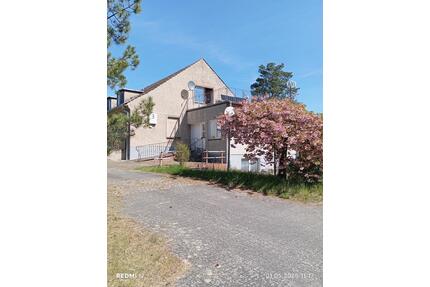 Haus auf 6000m2 zu verkaufen - 250.000,00&nbsp;EUR Kaufpreis, ca.&nbsp; 900,00&nbsp;m&sup2; in Schönhausen (Elbe) (PLZ: 39524)