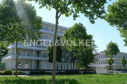 Wohnung zum Mieten in Mannheim 1.850,00 € 135 m²