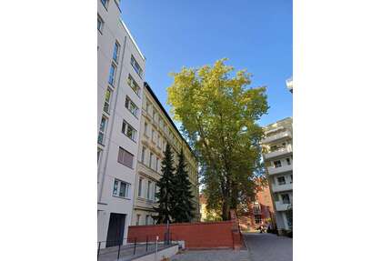 Wohnung zum Mieten in Berlin 1.175,00 € 62.27 m²