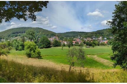 Buchen-Hettigenbeuern: Zu vermieten ist eine 2 ½ Zimmerwohnung - Buchen (Odenwald)