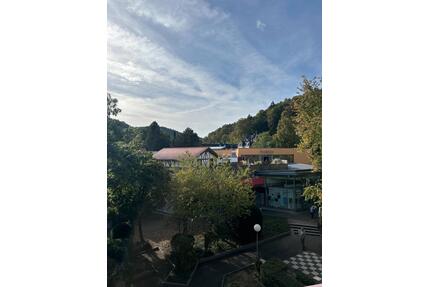 BZA Wohnen direkt an Therme & Kurpark | voll möbliert - Bad Bergzabern